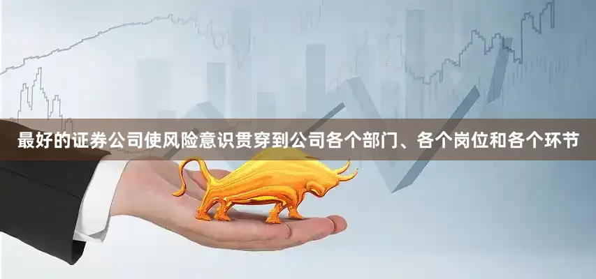 最好的证券公司使风险意识贯穿到公司各个部门、各个岗位和各个环节