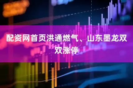 配资网首页洪通燃气、山东墨龙双双涨停