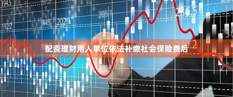 配资理财用人单位依法补缴社会保险费后